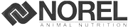 Norel