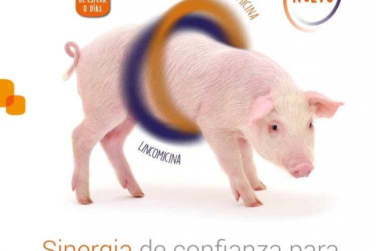 LINCOMICINA Y ESPECTINOMICINA